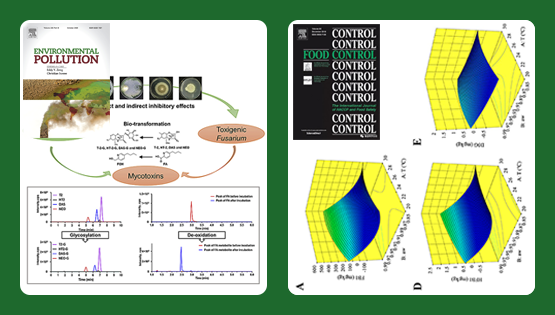 武爱波研究组在基于木霉的真菌毒素脱毒转化、玉米原料中真菌毒素污染风险预警等方面取得研究进展