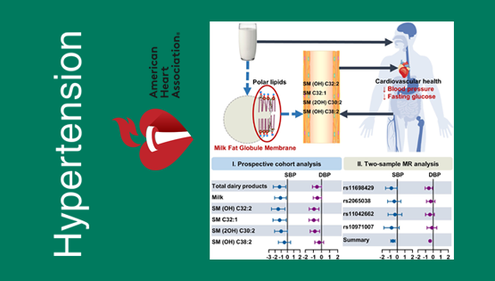 营养与健康所林旭、宗耕研究组在奶制品的脂质组生物标记物与心血管疾病风险因素研究方面取得进展