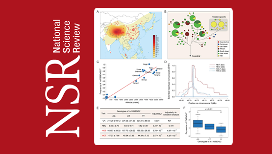 徐书华研究组构建了藏族人群全基因组水平的适应性遗传变异图谱