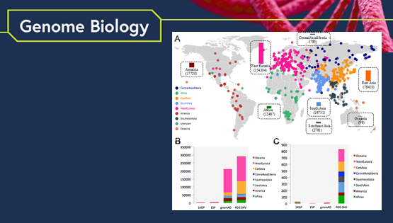 徐书华研究组发布全基因组单核苷酸变异数据库、涵盖近千个现存和古人族群