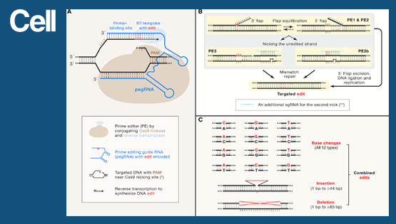中国科学院上海营养与健康研究所杨力组与上?？萍即笱Ш献骰锇樵?em>Cell</em> 杂志发表专评论文