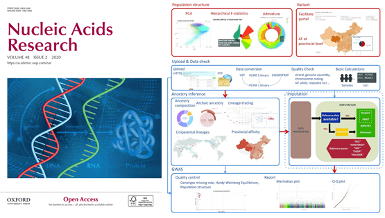 徐书华研究组和生物医学大数据中心发布汉族10万人基因组数据库及在线分析平台