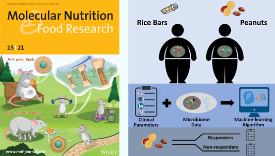 营养与健康所陈雁、林旭研究组利用肠道菌群分析和机器学习算法揭示精准营养在干预代谢综合征中的作用