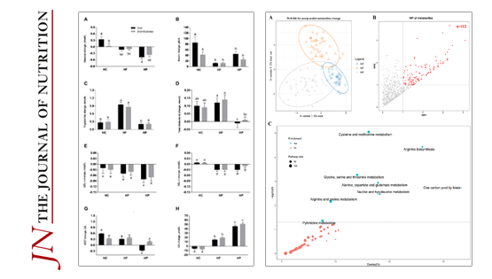 营养与健康所林旭研究组在不同膳食、体重和运动影响能量消耗、临床和代谢组学标记物改变的干预研究进展