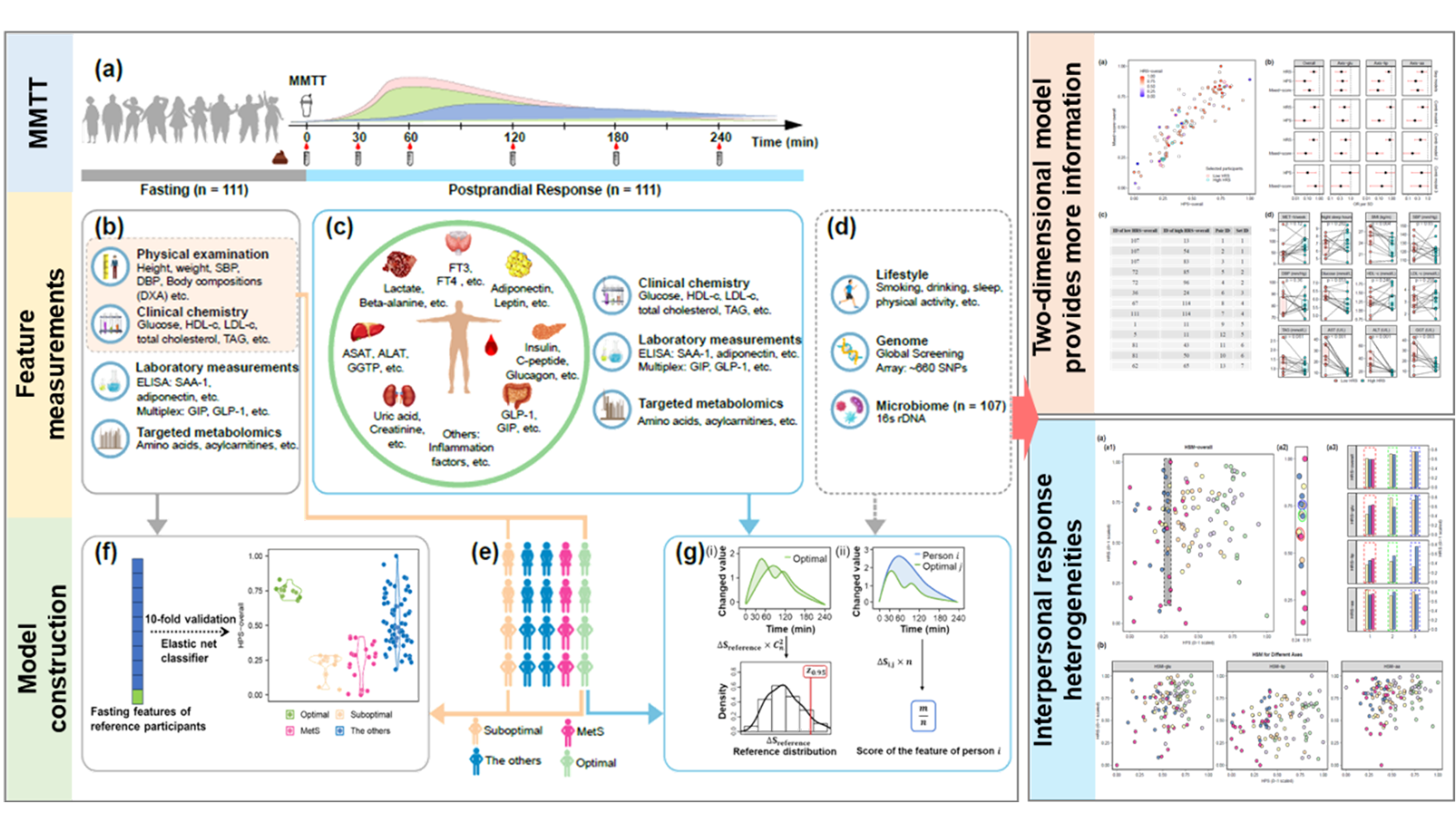 营养与健康所林旭团队牵头绘制二维“健康状况图谱”，在代谢健康评估方面取得开拓性进展