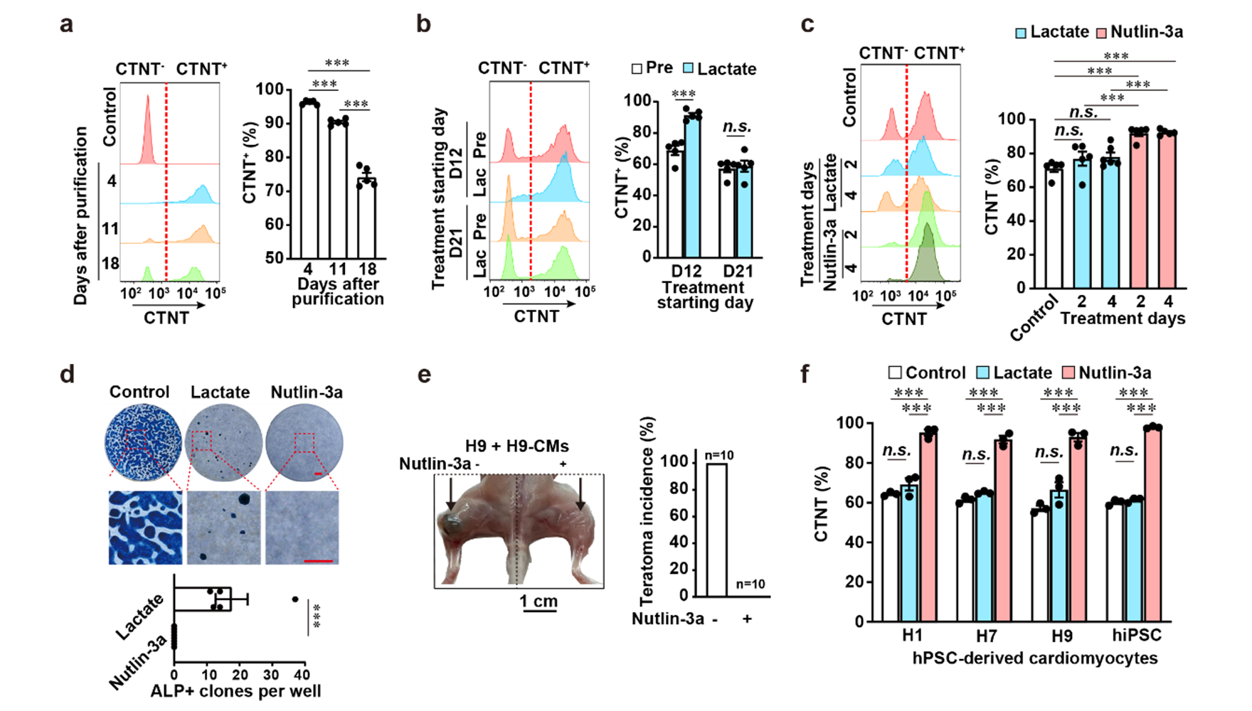 营养与健康所杨黄恬研究组建立简便、高效的人多能干细胞分化的心肌细胞纯化方法