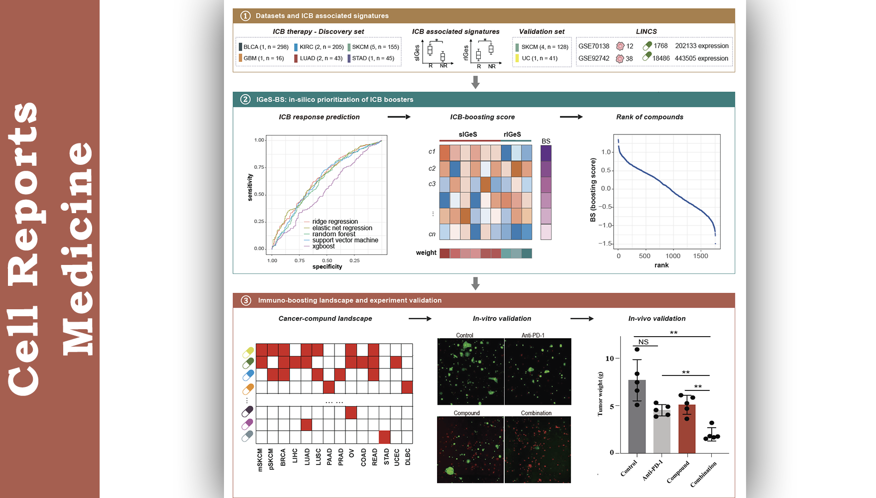 营养与健康所李虹研究组开发创新计算方法筛选可提升癌症免疫治疗疗效的化合物